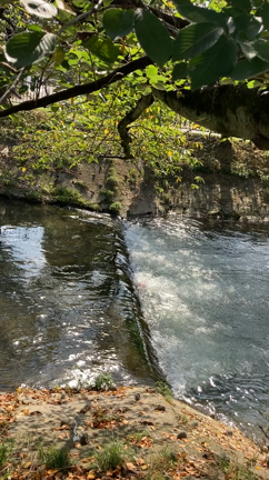 最高の贅沢、朝の川沿いの散歩、笑笑の記事動画