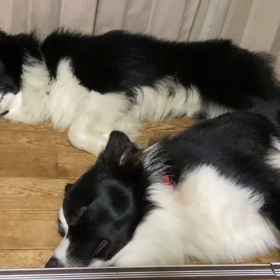 日が短くなりましたの画像