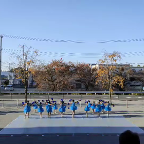サクラタウンの模様① 動画の画像