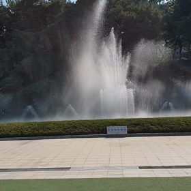818の画像