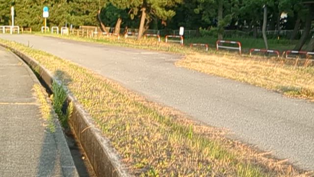 溜まっちゃってるの❤️の記事動画