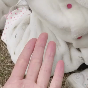 公園日和？の画像