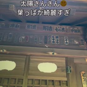 2024/06/02の画像