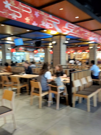 ランチ探しのはずが、、、の記事動画