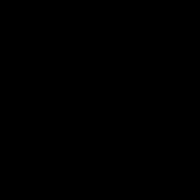 ■いたちのたぬきの画像