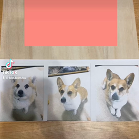 思い出を形に^ ^の画像