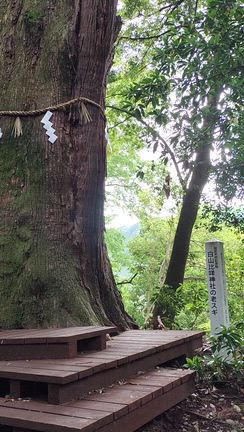 白山比咩神社に行ってきましたの記事動画