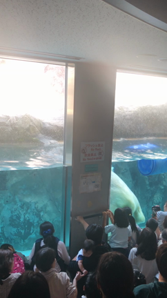 北海道旅行 動物編①の記事動画