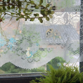 室内水槽絶好調の画像