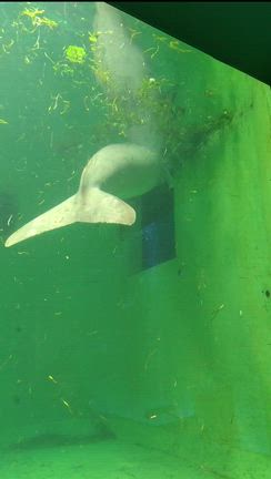 伊勢・志摩「2025年冬」☆1日目の記事動画