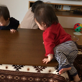 【双子_1歳1ヶ月】危険な遊びの画像