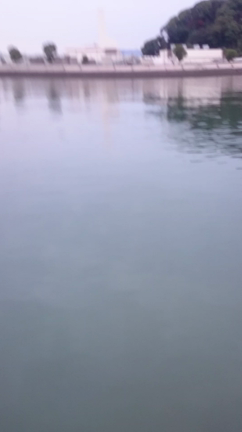 『しまなみ海道』にチャレンジ♪の記事動画