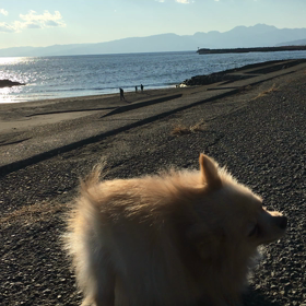 なんか…いい感じ？の画像