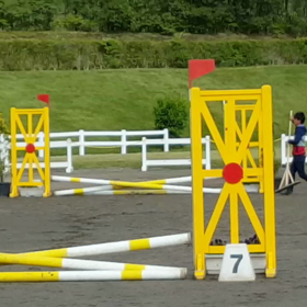 しゅんま&ひめの画像