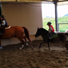 今朝のメリーゴーランドの画像