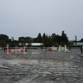 L-A障害　優勝動画の画像