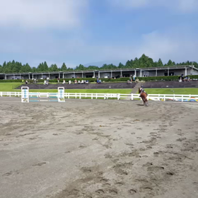 健心&ジョープロテクター　動画の画像