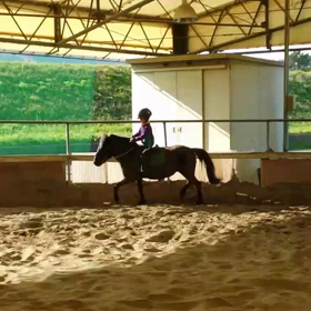 ひめちゃん&まっぴーの画像