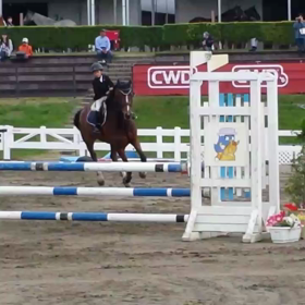 しゅんま&ビーマイボーイ　100cm優勝の画像