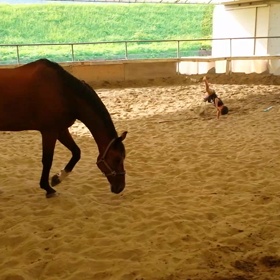 側転の練習の画像