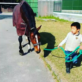 ビーマイボーイのひきうまの画像