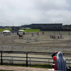 しゅんま&カリッシュ　動画の画像