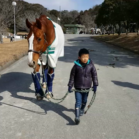 お散歩？！の画像