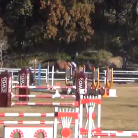 ビーマイボーイの画像