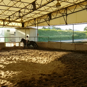 ベテランひめちゃん&まっぴー年長6才の画像