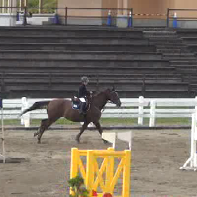 しゅんま&ラブモアー　100cm優勝の画像