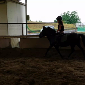 年長さんのここちゃんの画像