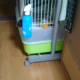 ＃晩御飯＃の画像