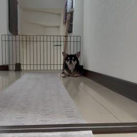 面接の画像