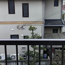 † ひよどり †の画像