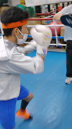 苗村修悟選手、試合２週間前の記事動画