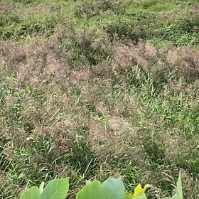急いで冬支度の画像