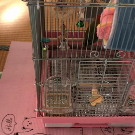 激しいの画像