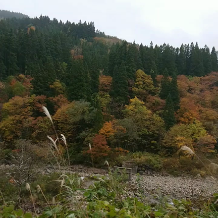 福井～石川神社仏閣巡り【日本三大金運神社コンプリート】の旅、その6の記事動画