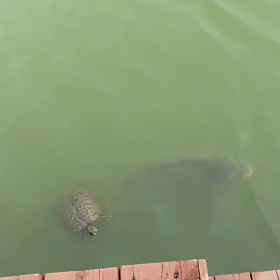 2022.5月☆GW家族旅行☆2日目-子供達がハマったもののサムネイル画像