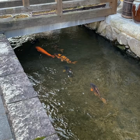 2020.11月☆再訪！子連れプチ旅行♡まずは飛騨古川へのサムネイル画像
