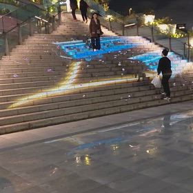 綺麗なので撮りましたの画像