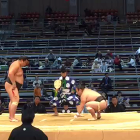 平成27年11月場所取組動画①の画像