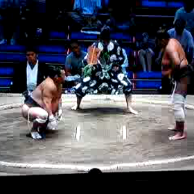 平成27年名古屋場所ムービー②の画像