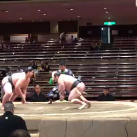 平成28年五月場所ムービー②の画像