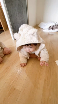 物欲をただ吐き出しただけのブログの記事動画