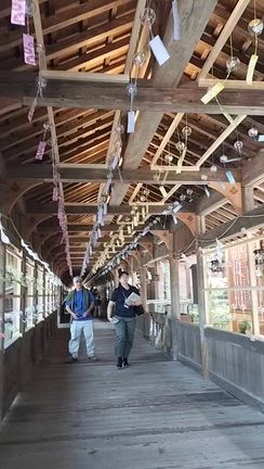 夏の思い出〜高千穂峡他〜の記事動画