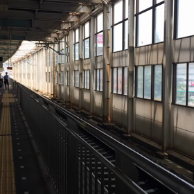 このところの画像