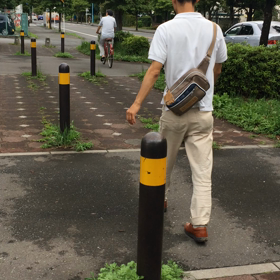 今度はメロンの画像