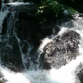 一服の涼を♪の画像