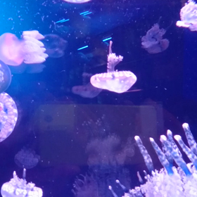 親がいて子がいて、愛がある。の画像